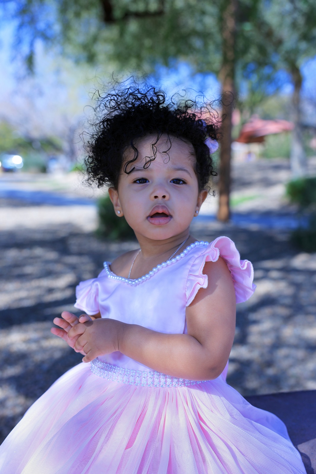 Toddler portrait in pink tutu